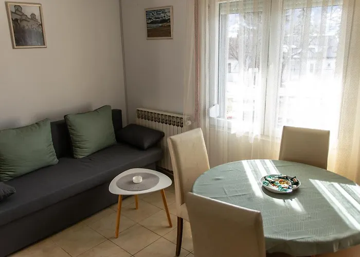 Apartman Kokin Brod